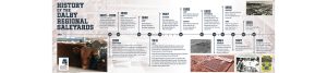 History of the Dalby Saleyards 1863 - 1962 timeline