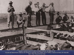 Dalby Cattle Sale - 1930's
